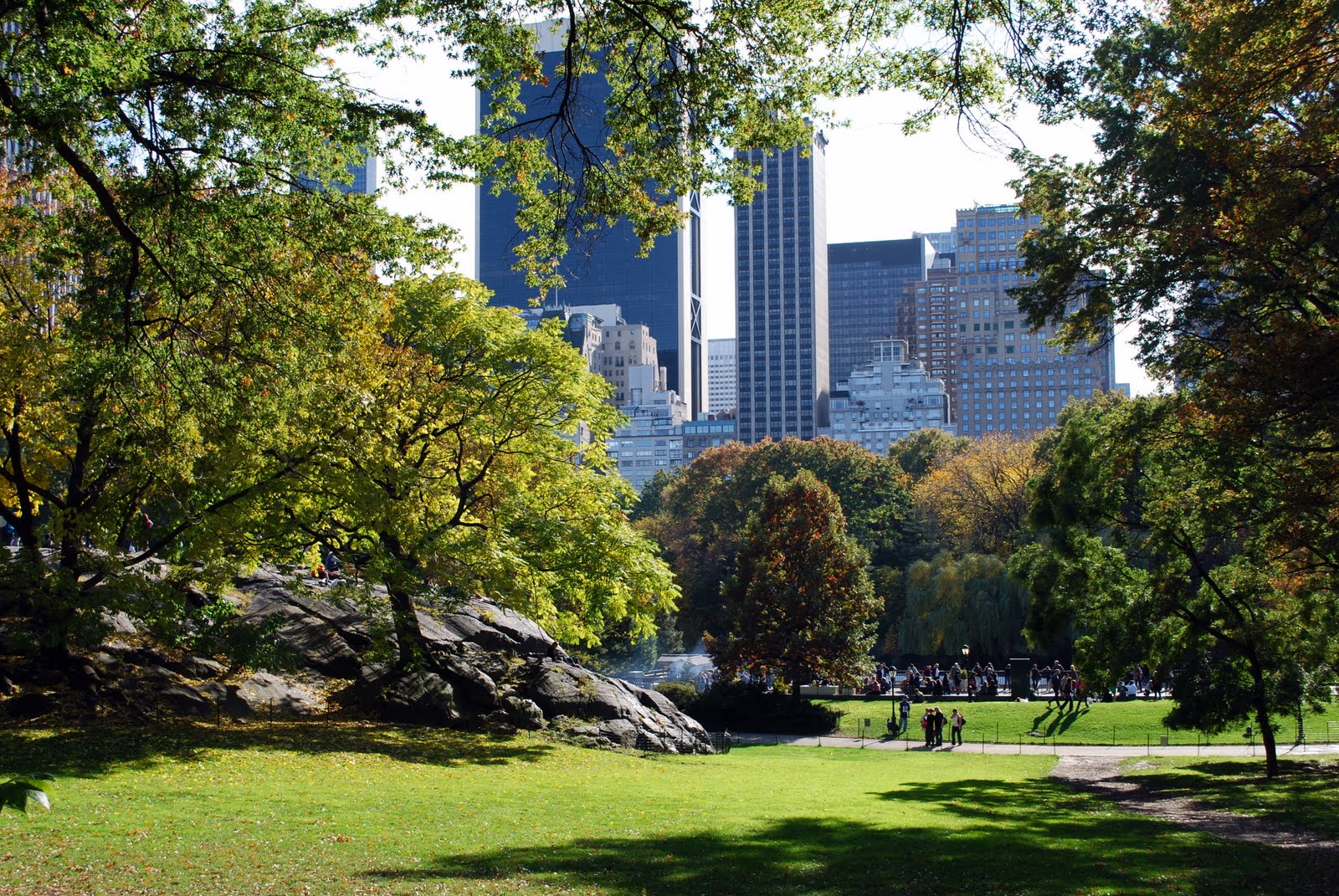 My new park. Центральный парк Нью-Йорк. Грин парк Нью Йорк. Центральный парк Манхэттен. Гайден парк Нью-Йорк.