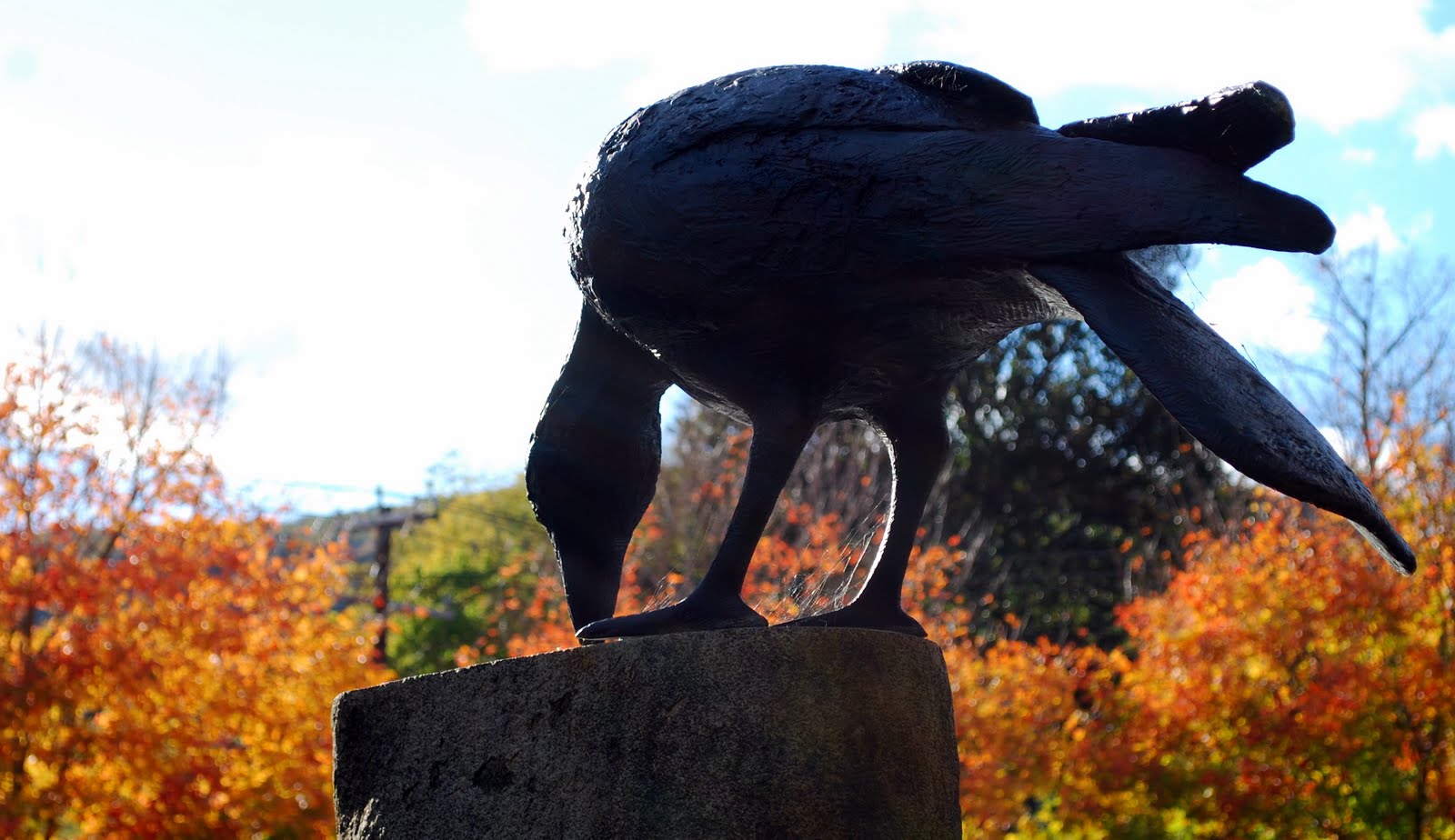 Mille Fiori Favoriti Top Foliage Town? Kent, Connecticut