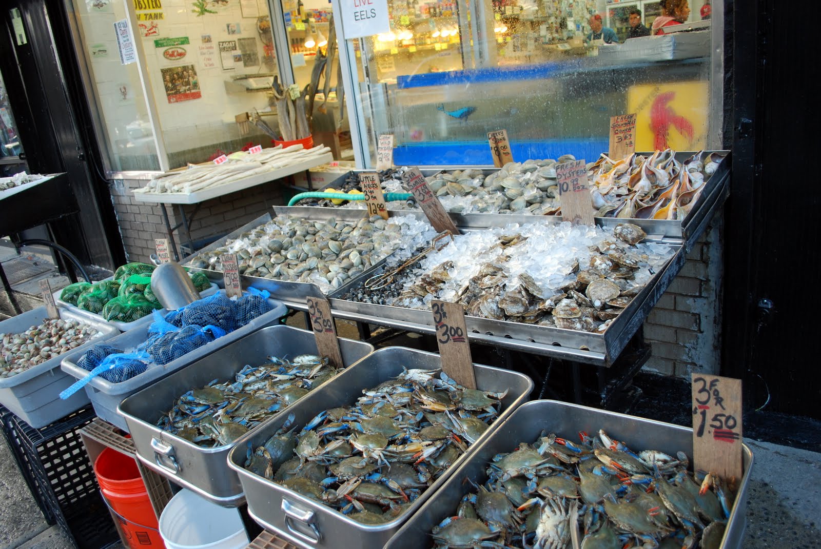 Mille Fiori Favoriti Arthur Avenue in the Bronx is Seafood Heaven!