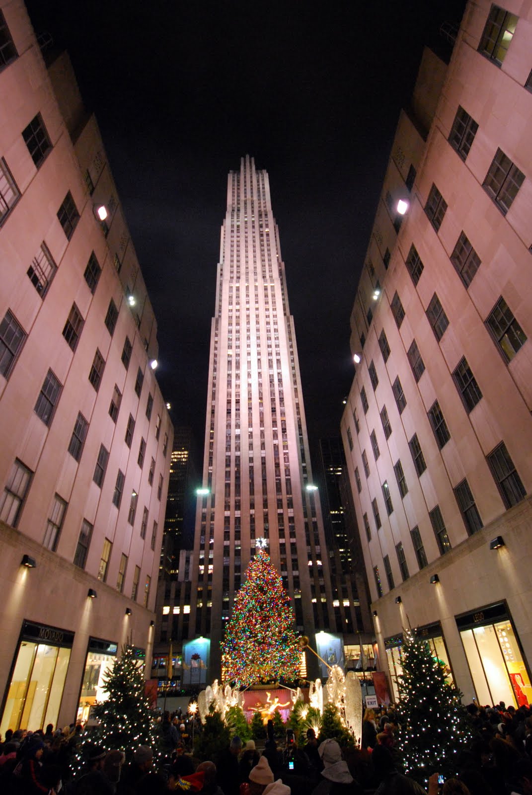 Sound the Trumpets! World Famous Rockefeller Tree Has Been Chosen