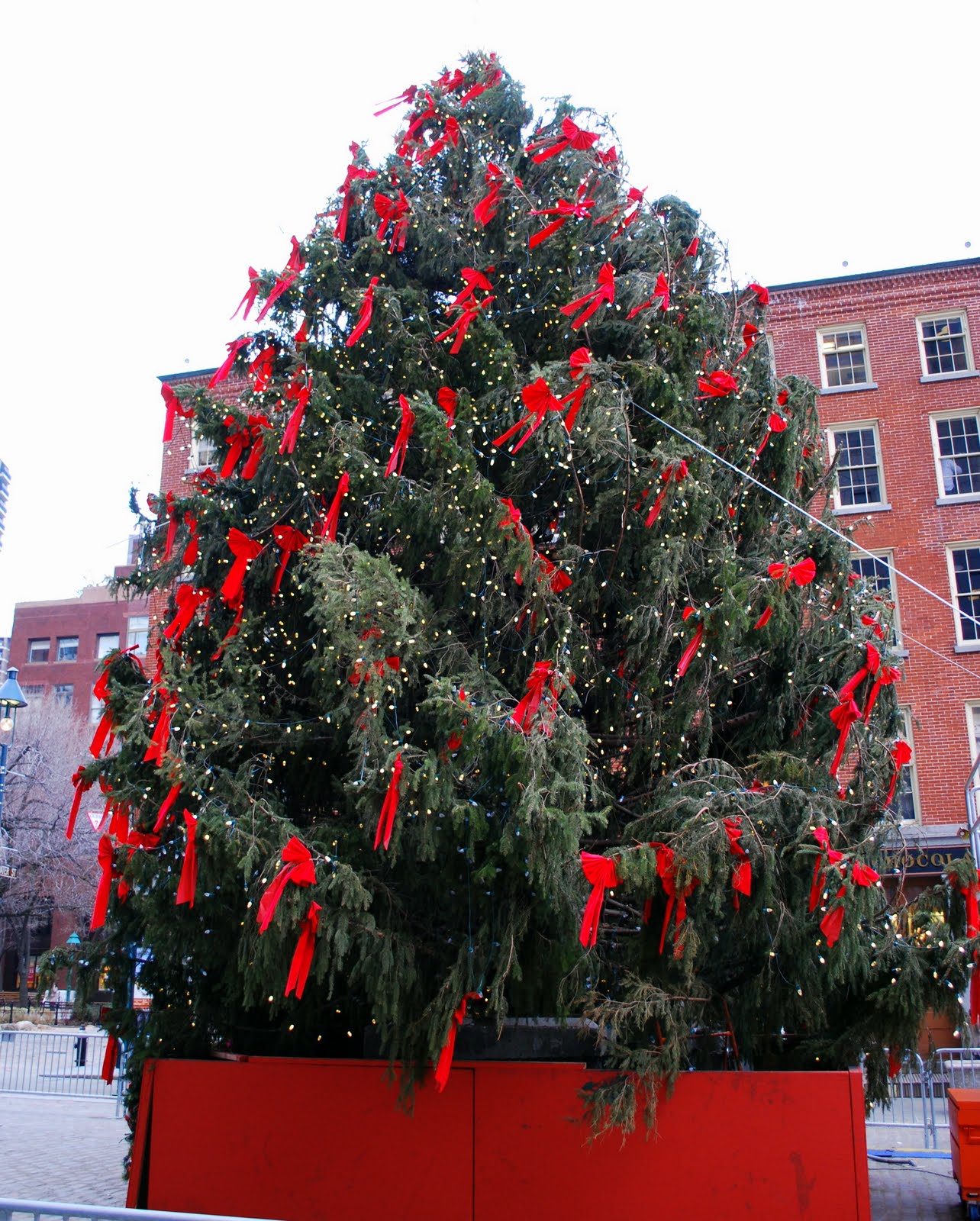 Mille Fiori Favoriti Christmas Trees in Manhattan