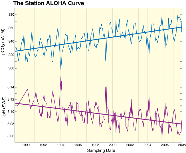 Aloha Marplot Graph as we were saying: The future of oceans: 'toxic jellyfish and algae'