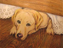 Labrador Retriever Pet Portrait