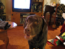 My Pup!