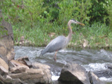 River Side Friends