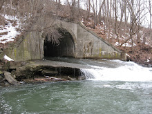 The Arch Way