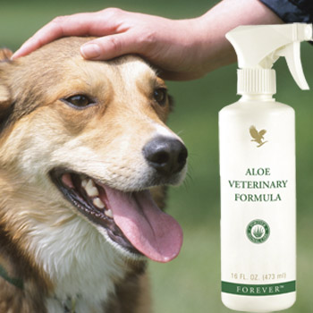 Aloe Forever DK: Aloe Vera spray til hunde, katte og andre dyr