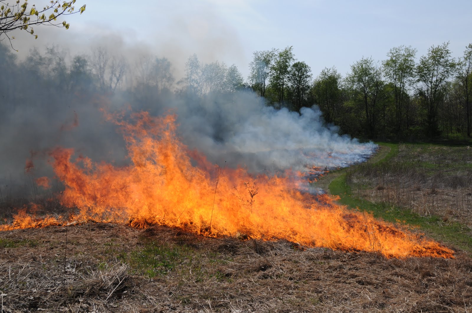 Flight....for the land The Prairie Fire