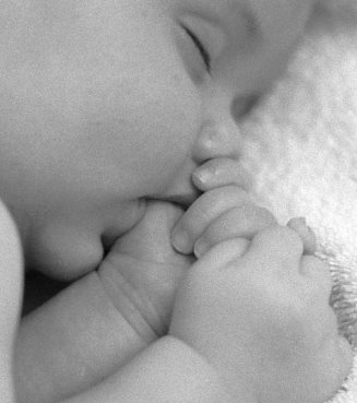 [user599_pic70_1214139184.jpg]