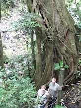 Rachel and Elizabeth by a Really Big tree!
