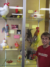 Peter with his Chicken Display at the Library