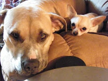 Boo and Pixie