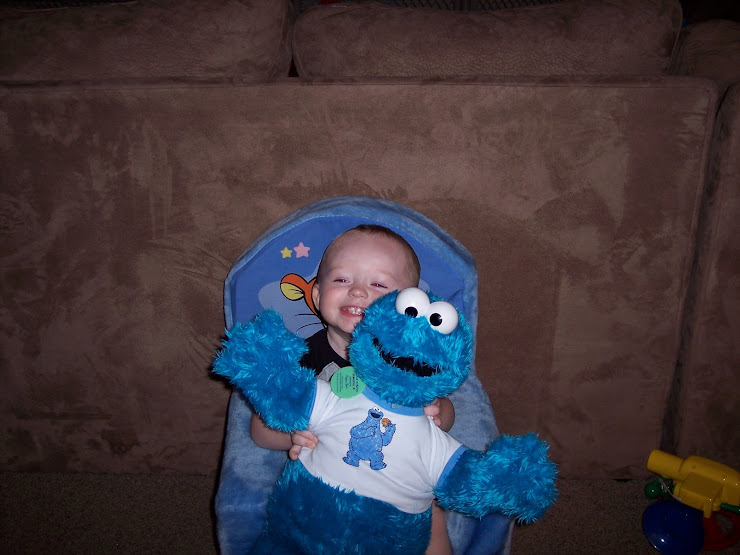 Cookie Monster