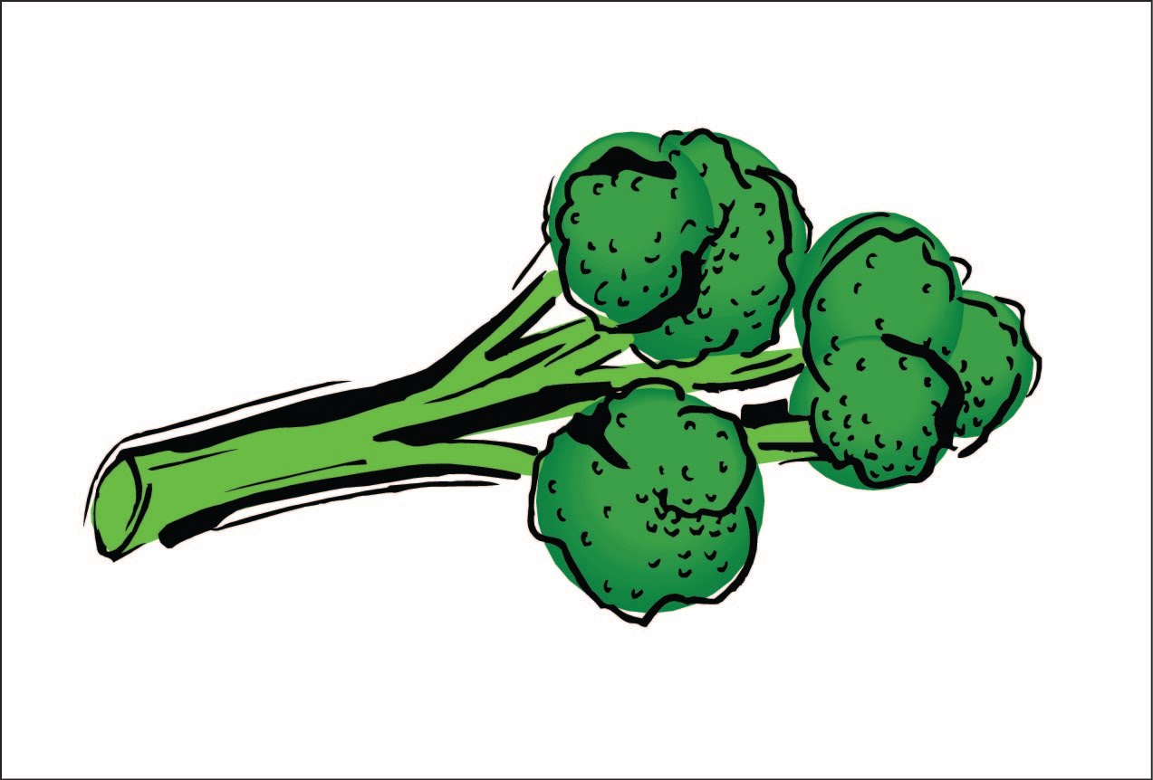 Как нарисовать брокколи карандашом поэтапно для детей
