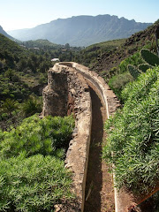 Molinos de Gran Canaria