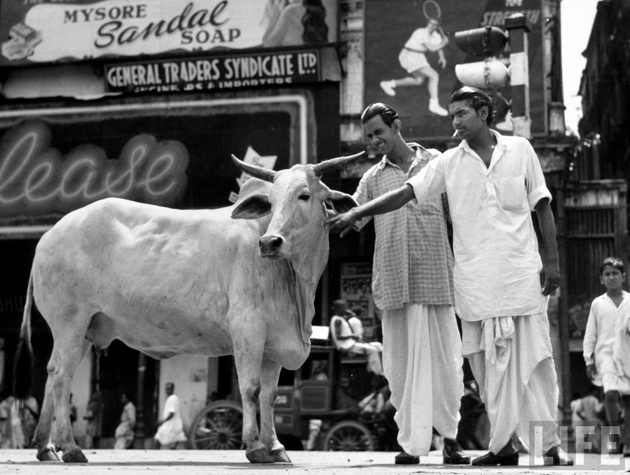 Two men touching a cow on a busy city street - 1946