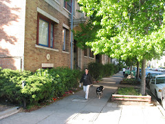 Jackson Street