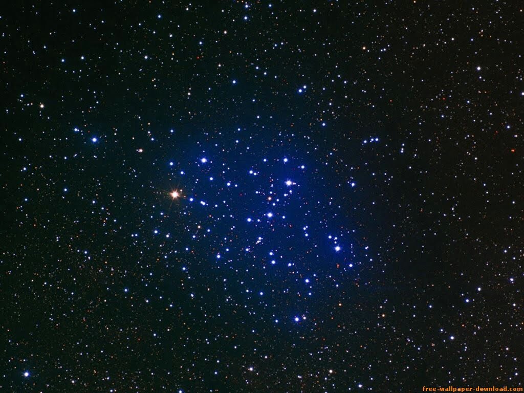 Estrellas-De-Noche.jpg