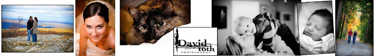 David Toth Photography
