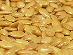 yellow or golden flax seed