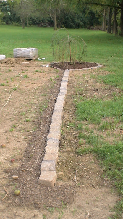 The first stones are laid for Leo's garden