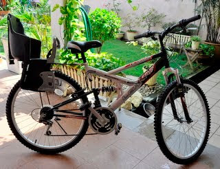 lerun evo race 27.5 review