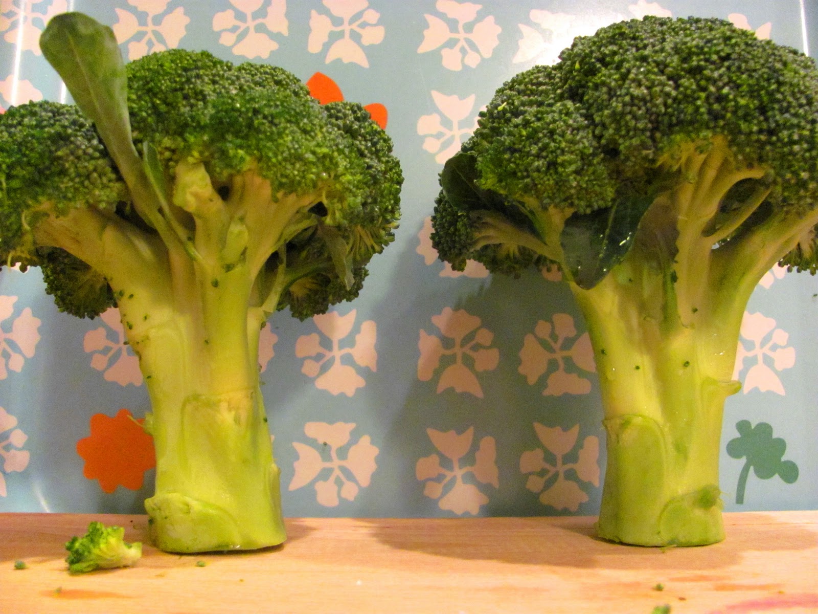 An Open Cookbook The Enchanted Broccoli Forest