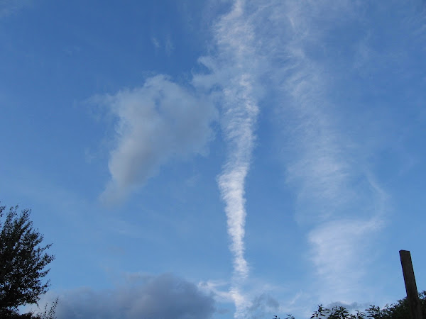 contrails...