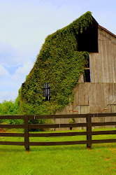 barns barn kentucky country brooks farm fall living farmhouse rustic roads ky akward posted am ivy justcallmegrace