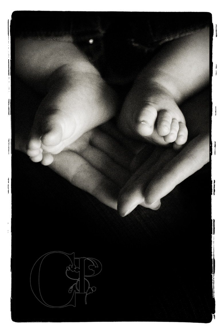 [image11004+(9).jpg]