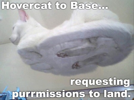 image: hovercat+to+base...+requesting+purrmissions+to+land