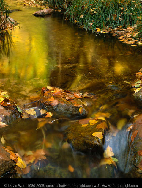 V.Watts Photography: Landscape Photographer - David Ward