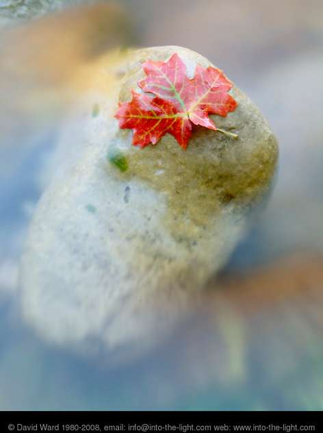 V.Watts Photography: Landscape Photographer - David Ward