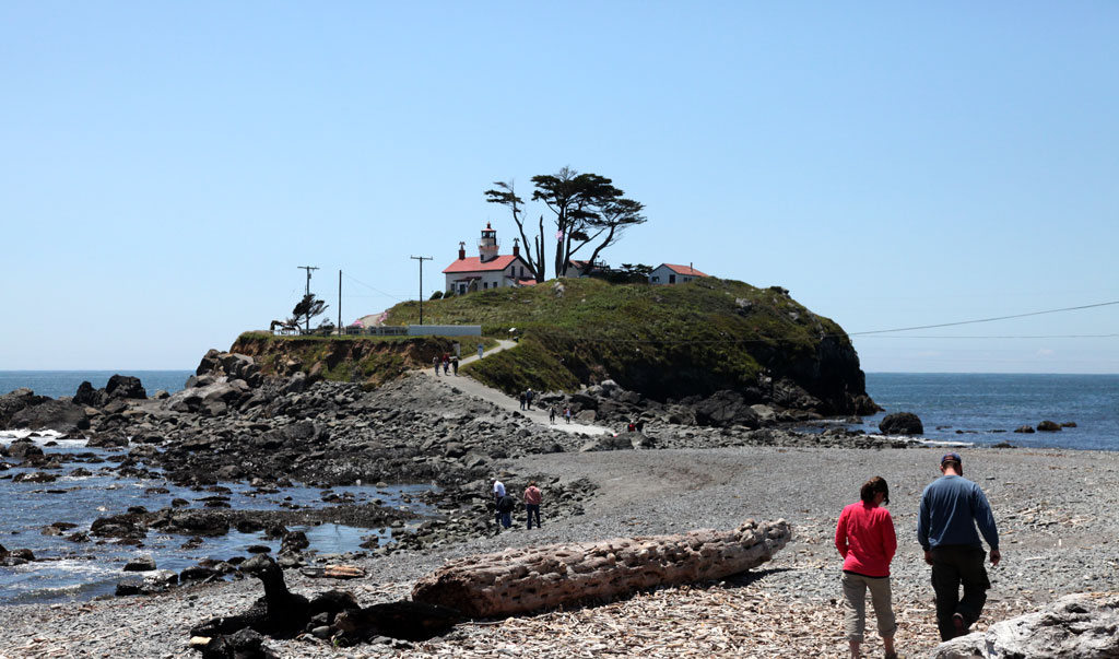 Smell the Forest: Crescent City