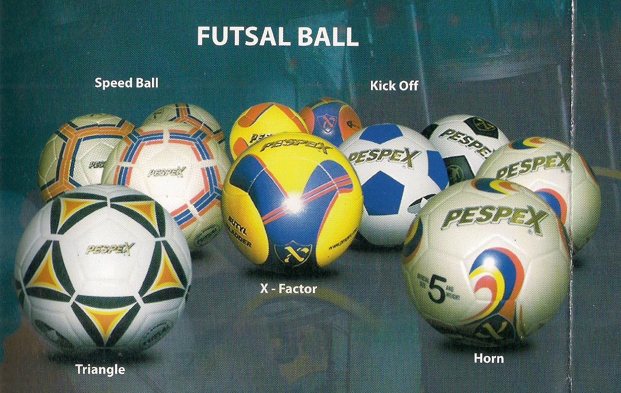 Futsal Ball View