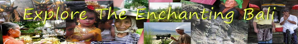Explore The Enchanting Bali!