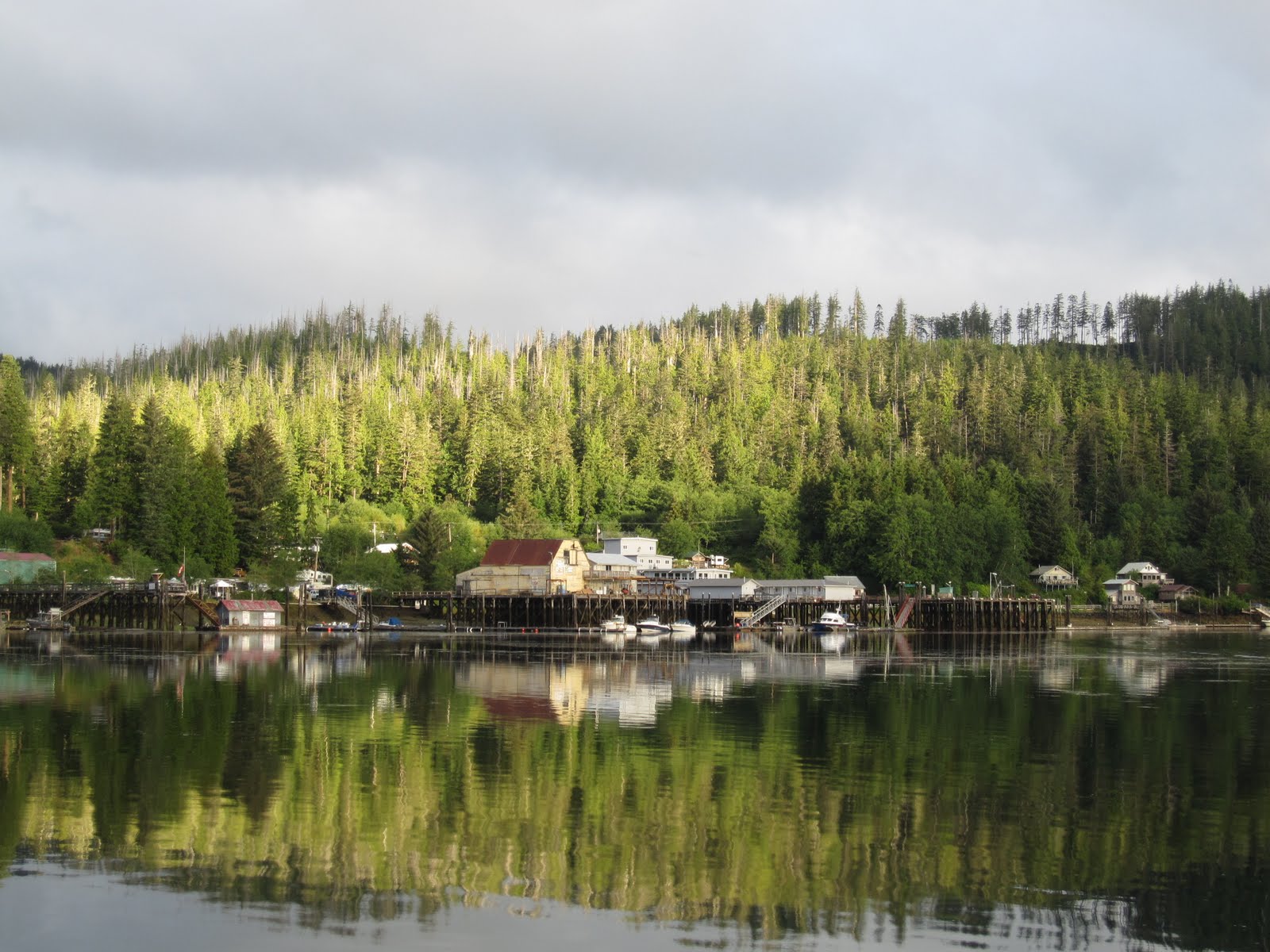 THUNDER BLOG day 11 Winter Harbour to the mouth of Quatsino Sound, and then back to Winter