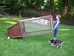 chicken coop mobile portable coops plans backyard designs bottom urban moveable pen wire chickens wheels tractor building still them keeps
