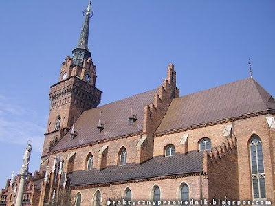 Katedra w Tarnowie