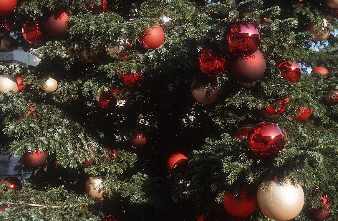 [christmas-tree-nxe.jpg]