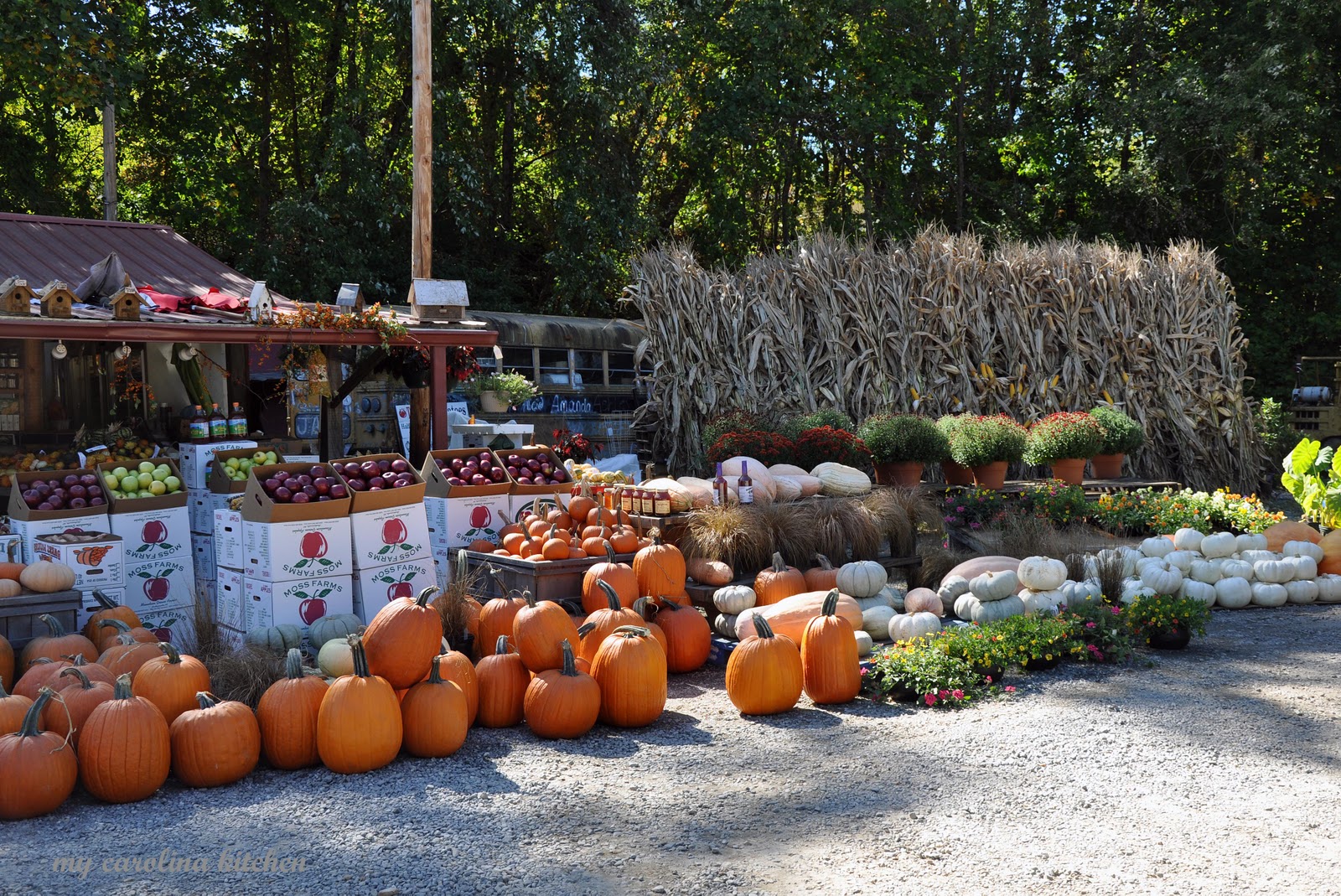 My Carolina Kitchen A visit to a country farm stand and a recipe for a