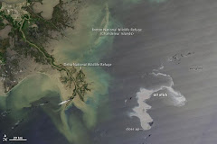 Mancha de Petroleo en el Golfo de México