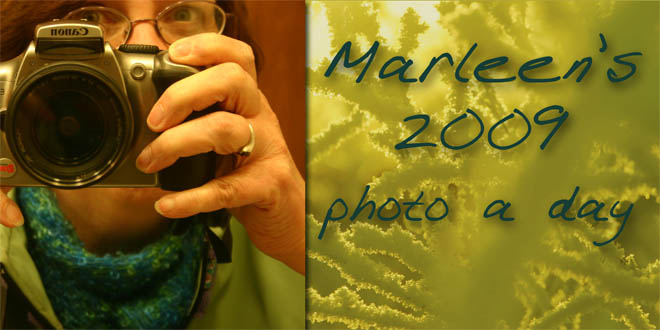 Marleen's 2009 photo a day blog