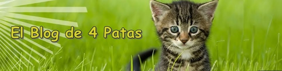 El Blog de 4 Patas