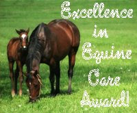 Excellence In Equine Care Award