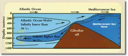 meet mix but seas two sea where quran which atlantic ocean mediterranean barrier gibraltar analyzed miracles encyclopedia ship science