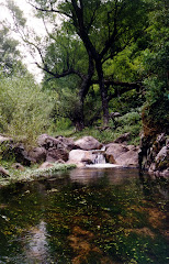 Conocer Río Ceballos