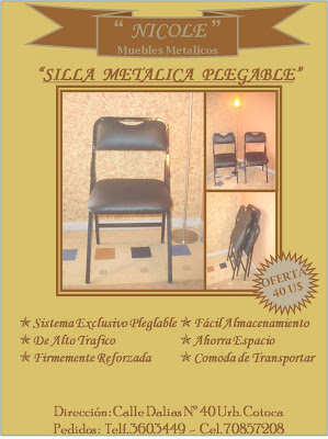 TOBOROCHI URBANO: noviembre 2008