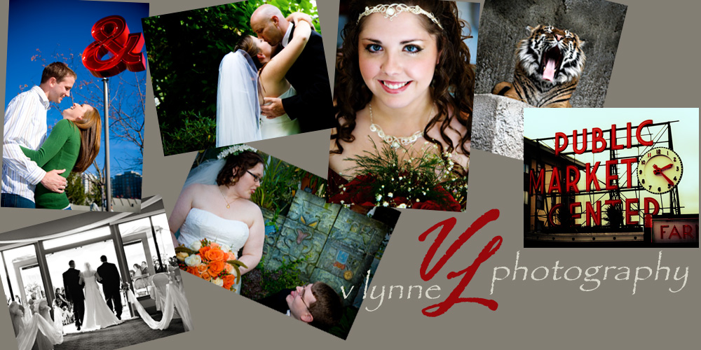 V Lynne Photography Blog