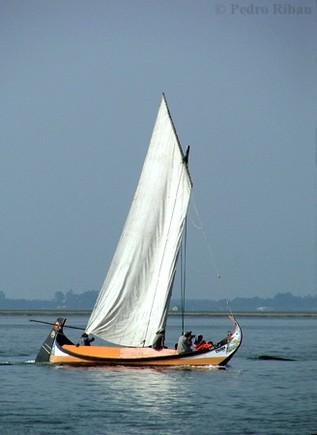 [2187064_Rp3g4.jpeg]